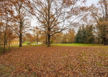 Rustico Strada Menabò, Cellarengo - foto 19