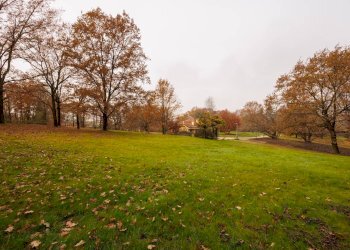 Rustico Strada Menabò, Cellarengo - foto 20