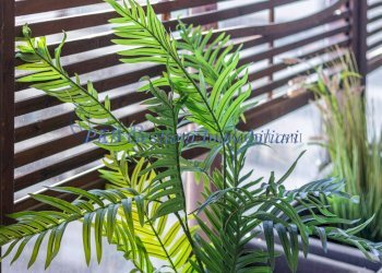 Trilocale Roma (zona Torrino) - foto 6