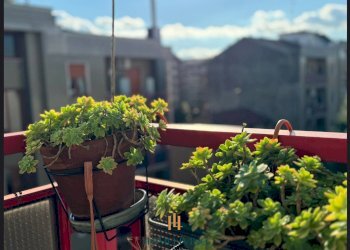 Quadrilocale Viale Aretusa, Milano - foto 23