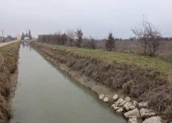 Terreno - Rustico via San Genesio, Stienta - foto 11