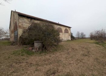 Terreno - Rustico via San Genesio, Stienta - foto 4