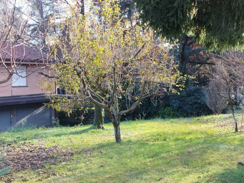 Terreno - Building land via Carlo Goldoni, Varese - photo 1