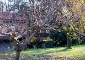 Terreno - Terreno edificabile via Carlo Goldoni, Varese - foto 7