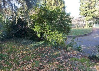 Terreno - Terreno edificabile via Carlo Goldoni, Varese - foto 31