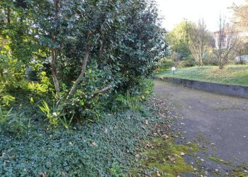 Terreno - Terreno edificabile via Carlo Goldoni, Varese - foto 38