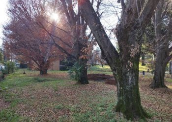 Terreno - Terreno edificabile via Carlo Goldoni, Varese - foto 49