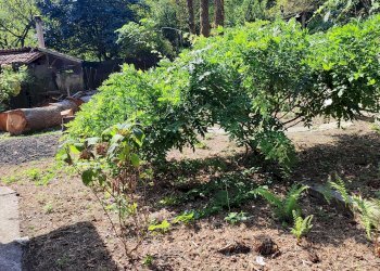 Baita Via Meira Bianca, Martiniana Po - foto 15