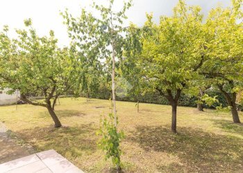 Villa Via Bruna, San Francesco al Campo - foto 12