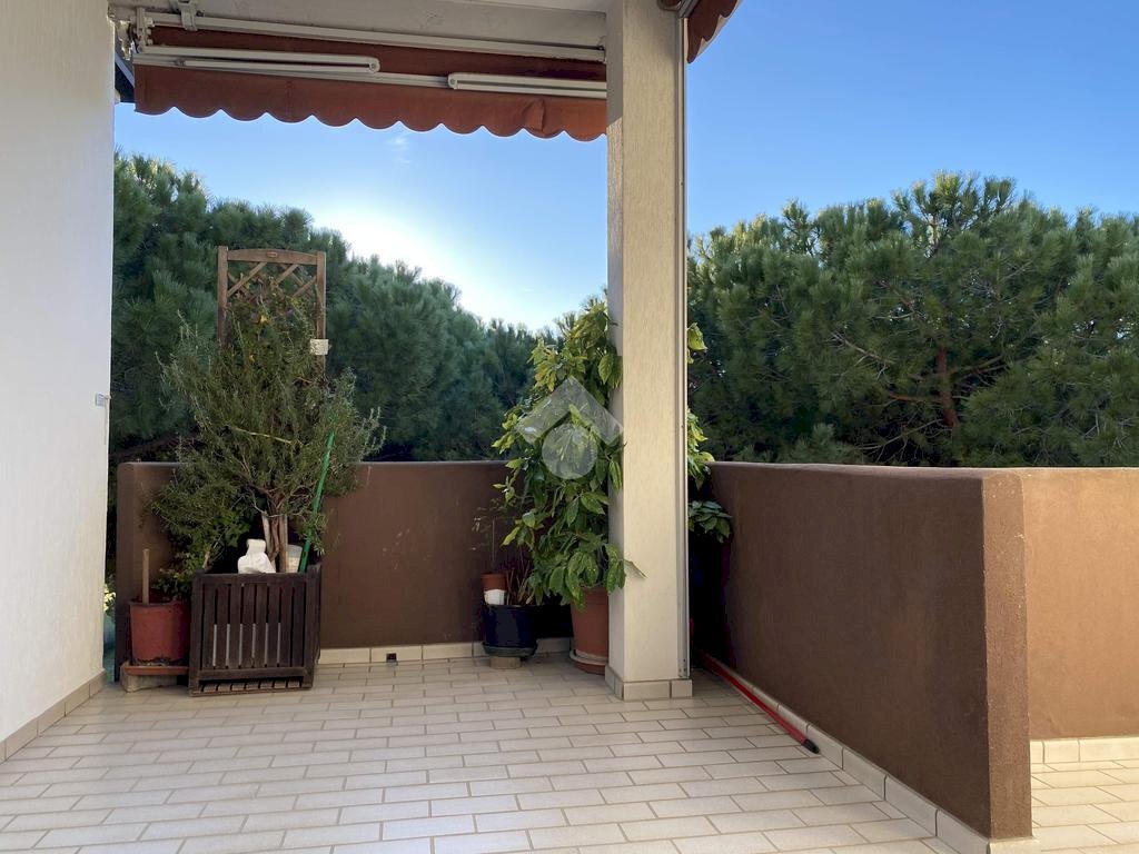 Two-room apartment Viale Arianna, Cervia - photo 3