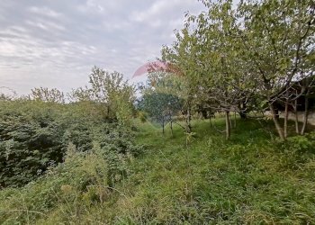 Terreno edificabile Via Rocca, San Paolo d'Argon - foto 11