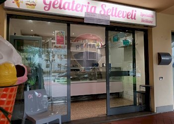 Attività Commerciale Via Borghetto, Torre Boldone - foto 5