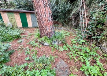 Bilocale Viale la Torre, 12 
 Santa Margherita Ligure, Santa Margherita Ligure - foto 25