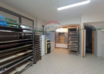 Attività Commerciale Lurano - foto 5