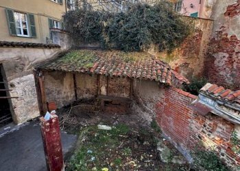 Giardino - Casa indipendente via Adua, Saluzzo - foto 19