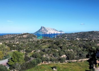 Appartamento Via Cala Girgolu, San Teodoro - foto 43