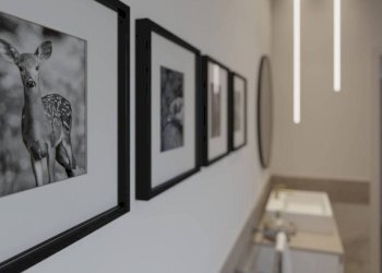 Altro - Quadrilocale via Torelle, 12, Alpignano - foto 18