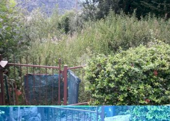 Attic Strada Brusiera, Ceres - photo 5