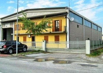 Capannone Gualtieri - foto 2