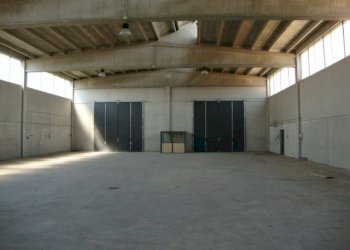 Capannone Gualtieri - foto 4