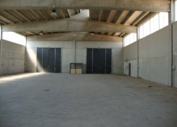 Capannone Gualtieri - foto 5