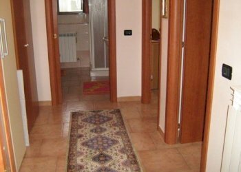 Capannone Gualtieri - foto 10