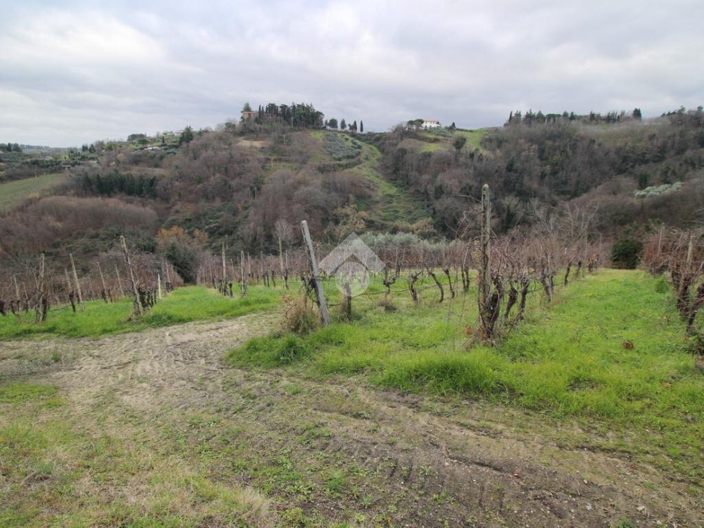Agricultural land Via madonna dell'ulivo, Cesena - photo 1