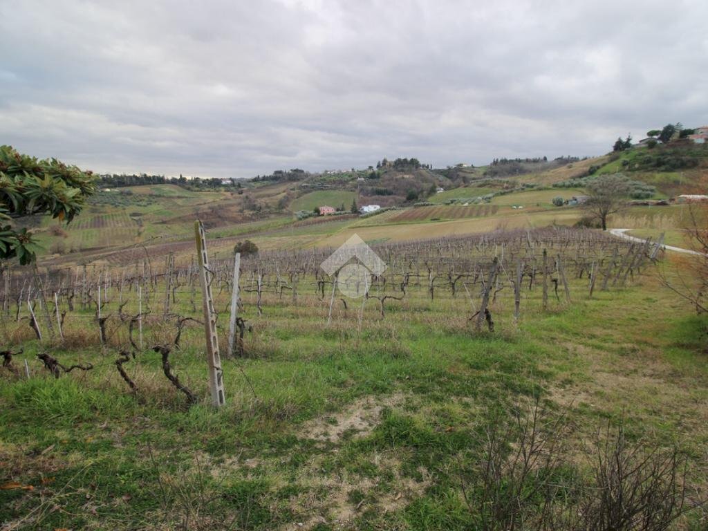Agricultural land Via madonna dell'ulivo, Cesena - photo 3