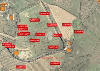 Agricultural land Via madonna dell'ulivo, Cesena - photo 10