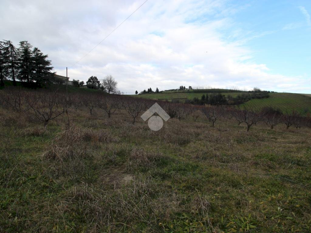 Agricultural land Via Madonna dell'olivo, Cesena - photo 1