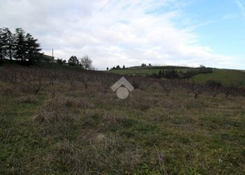 Agricultural land Via Madonna dell'olivo, Cesena - photo 1