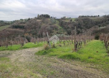 Agricultural land Via Madonna dell'olivo, Cesena - photo 12