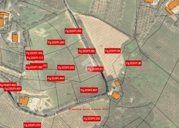 Agricultural land Via Madonna dell'olivo, Cesena - photo 16