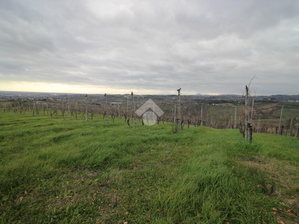 Terreno agricolo Via madonna dell'olivo, Cesena - foto 2