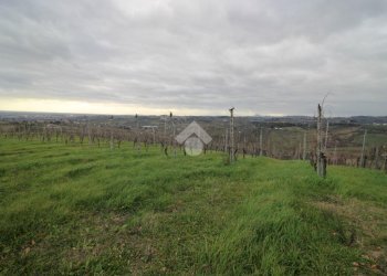 Agricultural land Via madonna dell'olivo, Cesena - photo 2