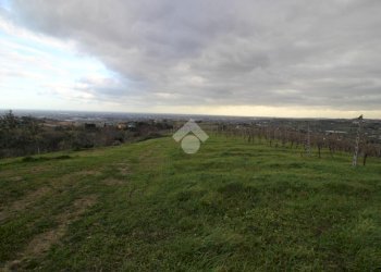 Agricultural land Via madonna dell'olivo, Cesena - photo 3