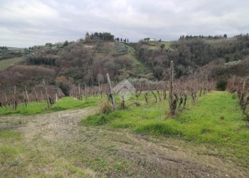 Agricultural land Via madonna dell'olivo, Cesena - photo 4