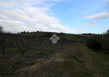 Agricultural land Via madonna dell'olivo, Cesena - photo 5