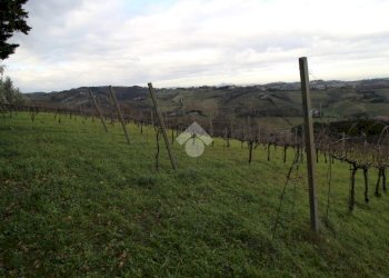 Agricultural land Via madonna dell'olivo, Cesena - photo 9