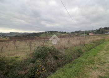Agricultural land Via madonna dell'olivo, Cesena - photo 12