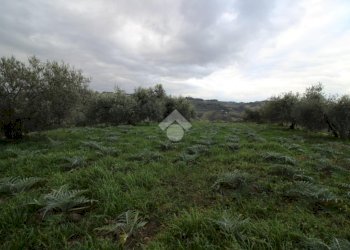 Agricultural land Via madonna dell'olivo, Cesena - photo 13
