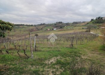 Agricultural land Via madonna dell'olivo, Cesena - photo 15