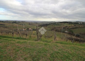 Agricultural land Via madonna dell'olivo, Cesena - photo 20
