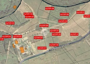 Agricultural land Via madonna dell'olivo, Cesena - photo 22