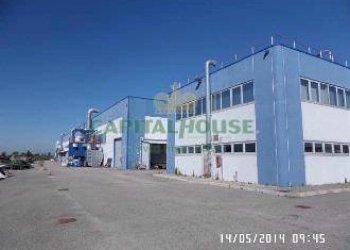 Capannone Ostellato - foto 5