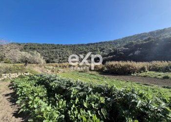 Villa contrada fiumelato, Scicli - foto 23