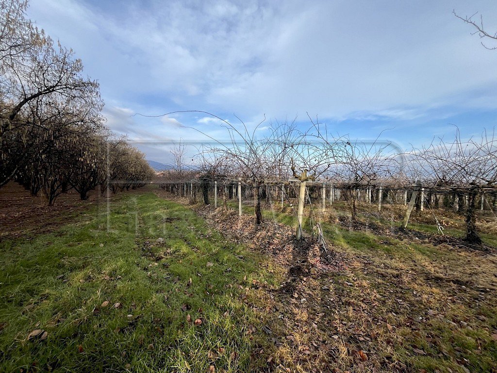 Agricultural land Bibiana - photo 1