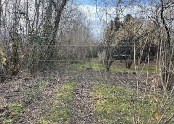 Agricultural land Bibiana - photo 5