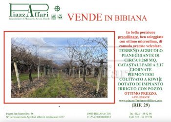 Agricultural land Bibiana - photo 10