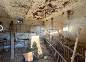 Rustic Via Prabernasca, Rivalta di Torino - photo 10